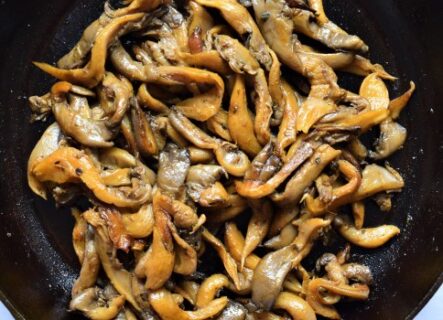 Cooked pearl oyster mushrooms